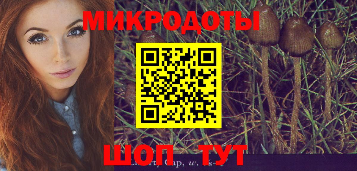 Псилоцибиновые грибы GOLDEN TEACHER  цена наркотик  Калач-на-Дону  Псилоцибиновые грибы GOLDEN TEACHER  Вход с VPN 